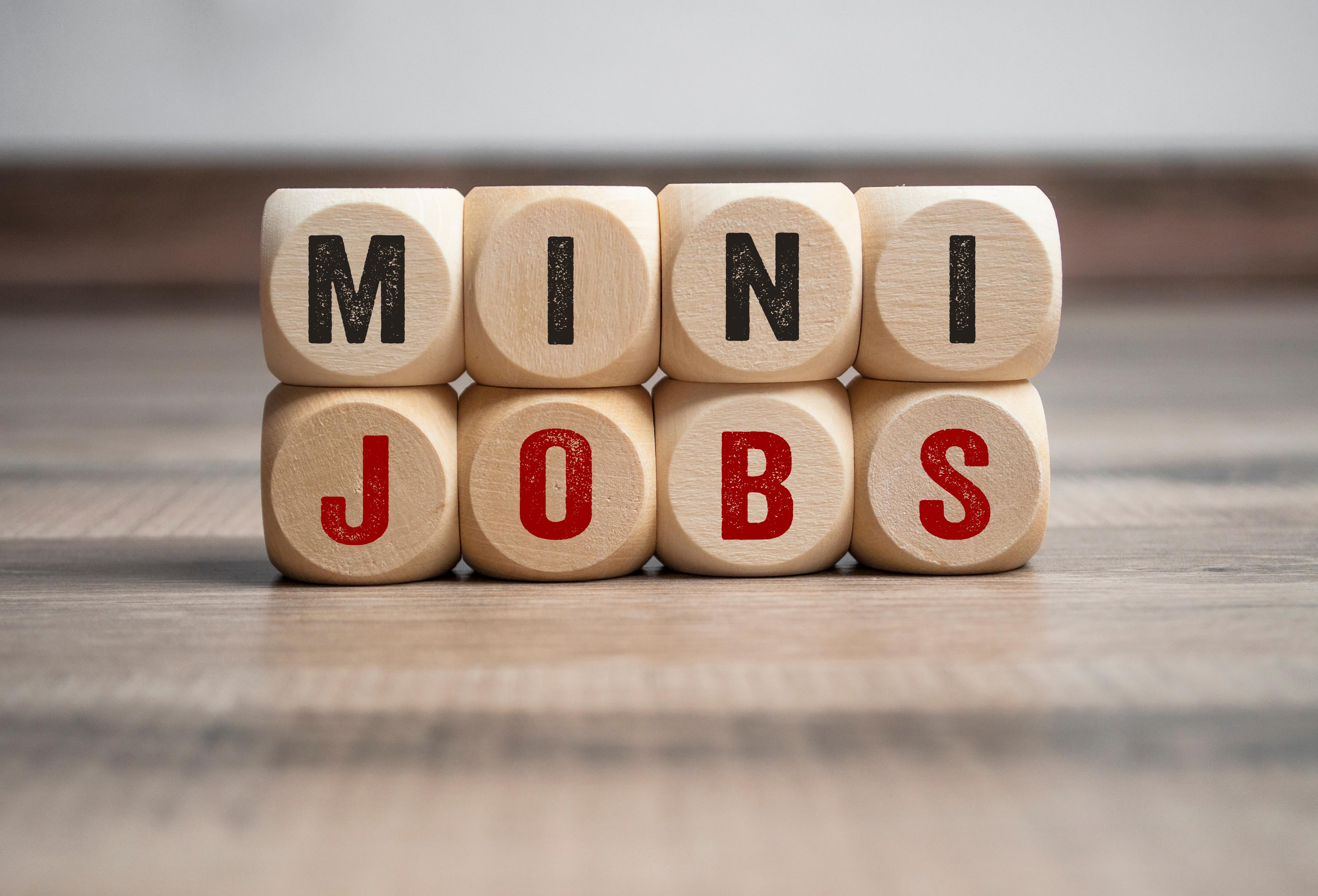 Mini Jobs